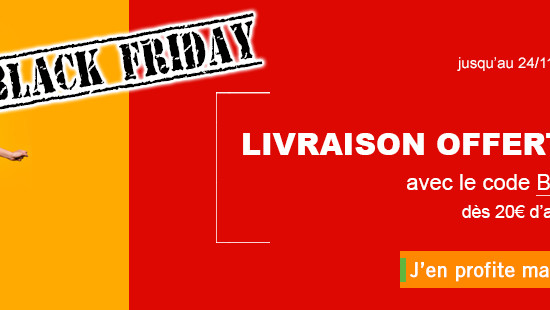 EXEMPLES DE BANNIERES pour évènements spéciaux.